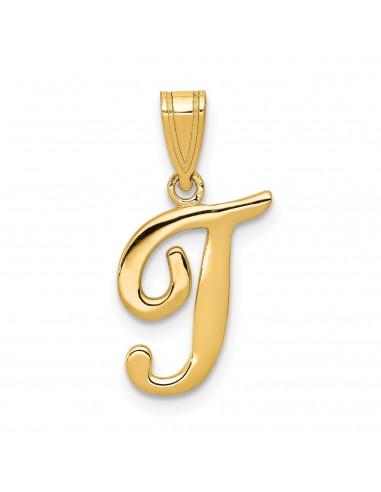 14KT Yellow Gold 18X12MM Initial Pendant Initial T. Chain not Included une grave pollution 