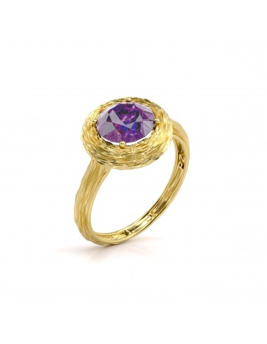 14K Gold Amethyst Organic Textured Ring prix pour 