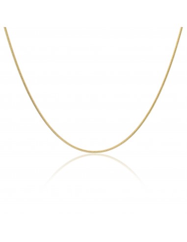 14k Gold Snake Chain Necklace pour bénéficier 