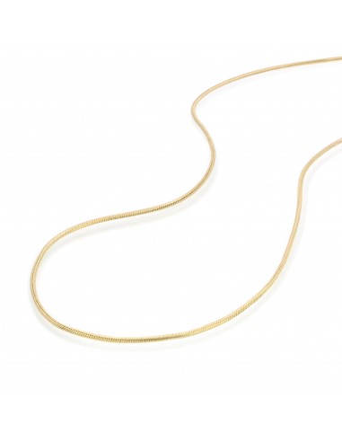 14k Gold Snake Chain Anklet Pour