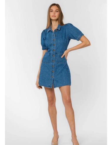 Short Sleeve Denim Dress offre 