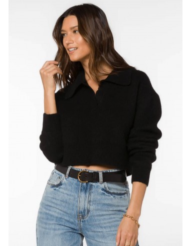 Thomas Long Sleeve Cropped V-Neck Sweater une grave pollution 