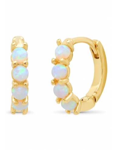 Small Opal Snap Closure Hoop Earring Dans la société mordern