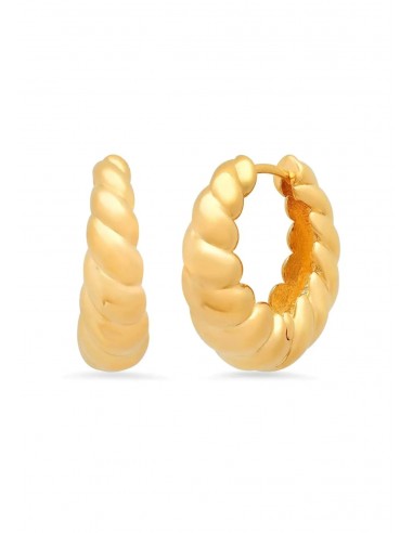 Gold Graduated Roped Huggie Earrings Comparez plus de prix