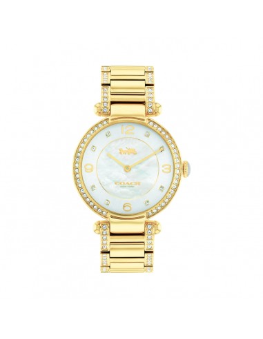 Coach Cary 34MM Mother OF Pearl Dial Crystal Accent Watch. 14503832 pas cher chine